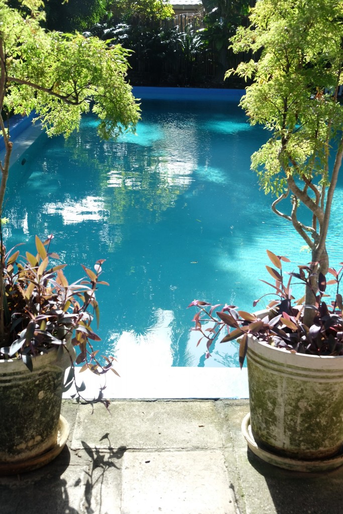 Hemingway House, Hemingway Home, Key West, Hemingway Haus, Lifestyle Blog Lieblingsstil, Lifestyleblog Lieblingsstil, Hemingway pool, Hemingway Schwimmbad