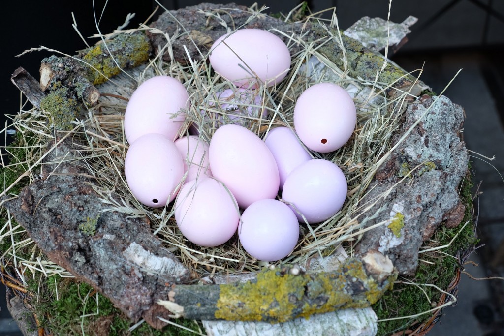 Blumen Bergine, Bergine Blumen, Osterdeko, Deko für Ostern, Osternest, easter nest, Lifestyle Blog Lieblingsstil, Lifestyleblog Lieblingsstil