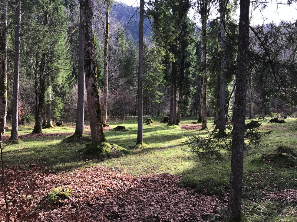 Wanderweg nach Kreuth, Tgernsee Wanderweg, Lifestyle-Blog, Lieblingsstil.com,